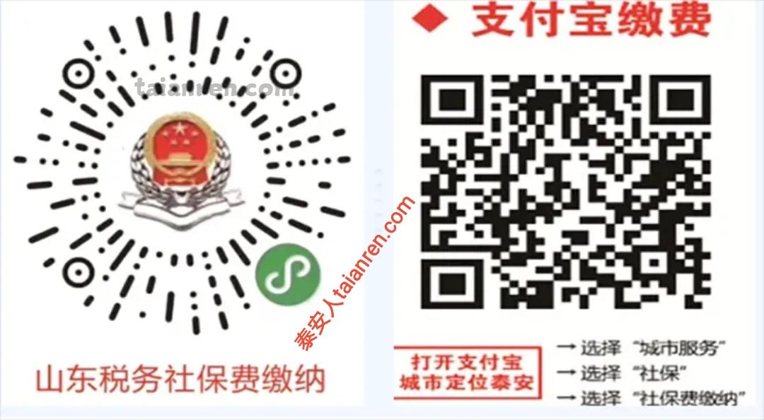 泰安市2026年度城乡居民基本医疗保险缴费指